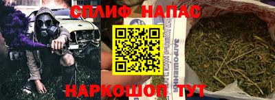 Альфа ПВП Будённовск