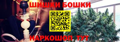 Альфа ПВП Будённовск