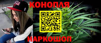 Альфа ПВП Будённовск