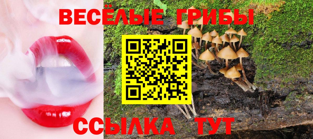 Галлюциногенные грибы Magic Shrooms Партизанск