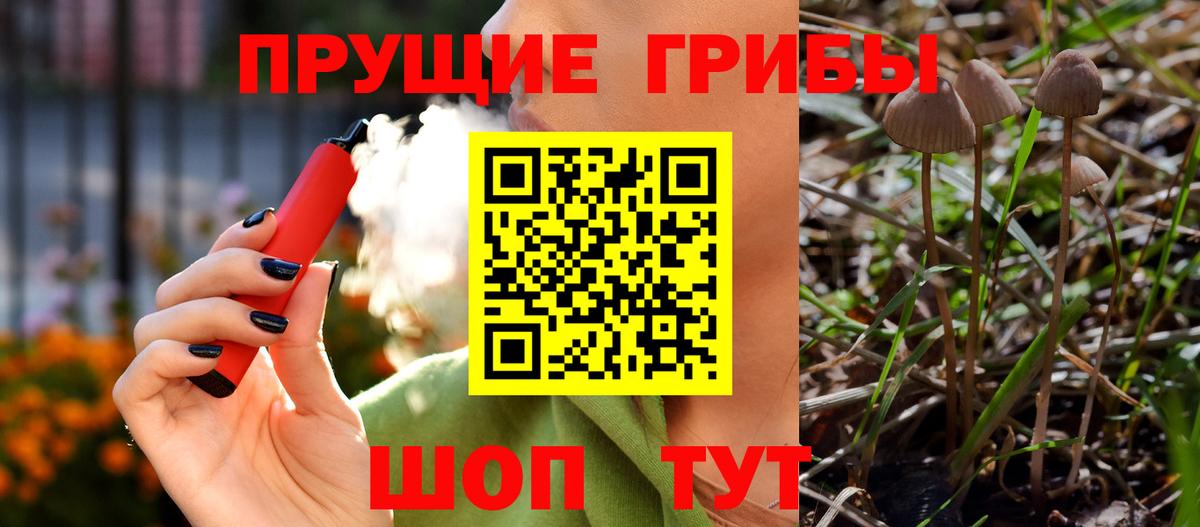 магазин  наркотиков  Вход с VPN  Партизанск  Псилоцибиновые грибы прущие грибы  Псилоцибиновые грибы Psilocybine cubensis 