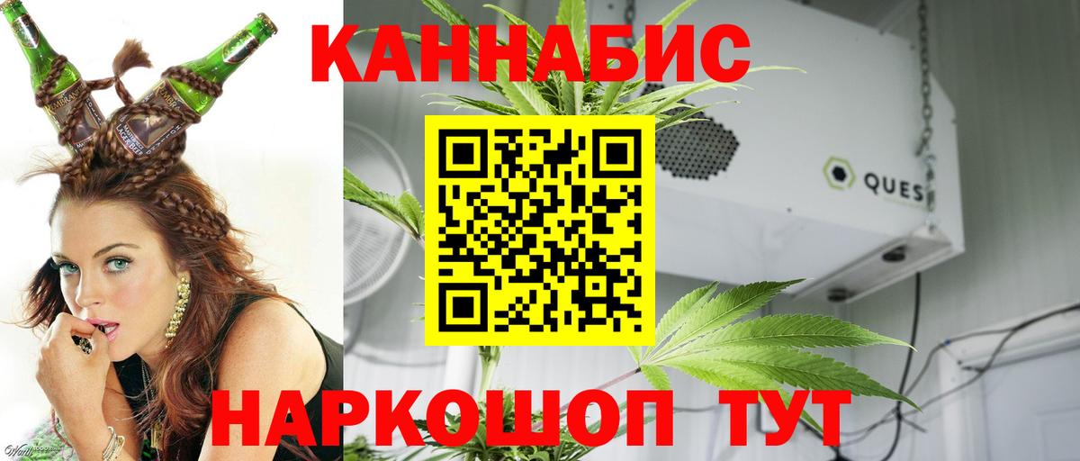 Конопля Bruce Banner Партизанск